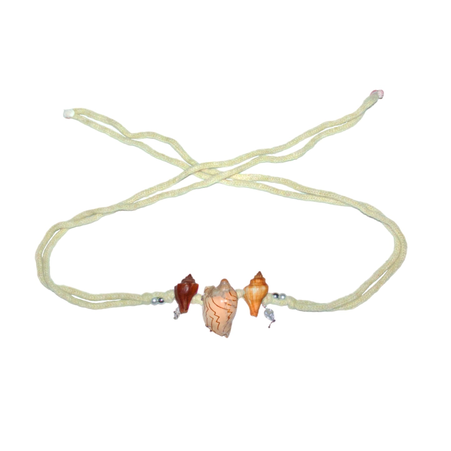 Seashell Belt