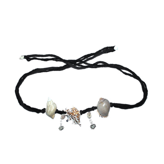 Seashell Belt